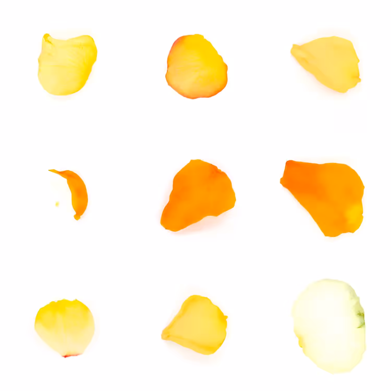 Infinite Petals 3x3#3255