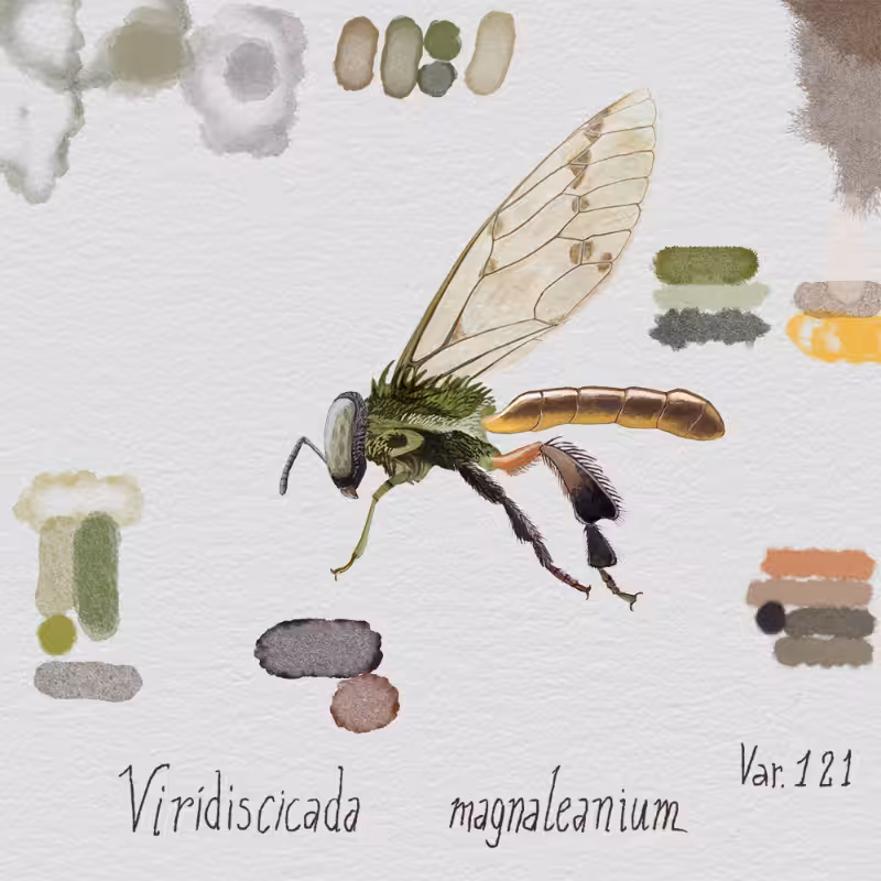 Randomic Brazilian Insects 1 #8