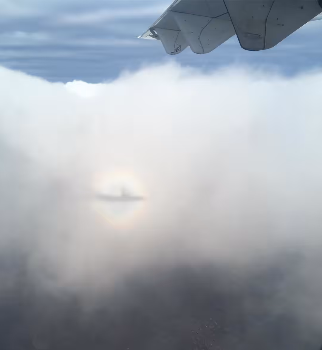 Halo
