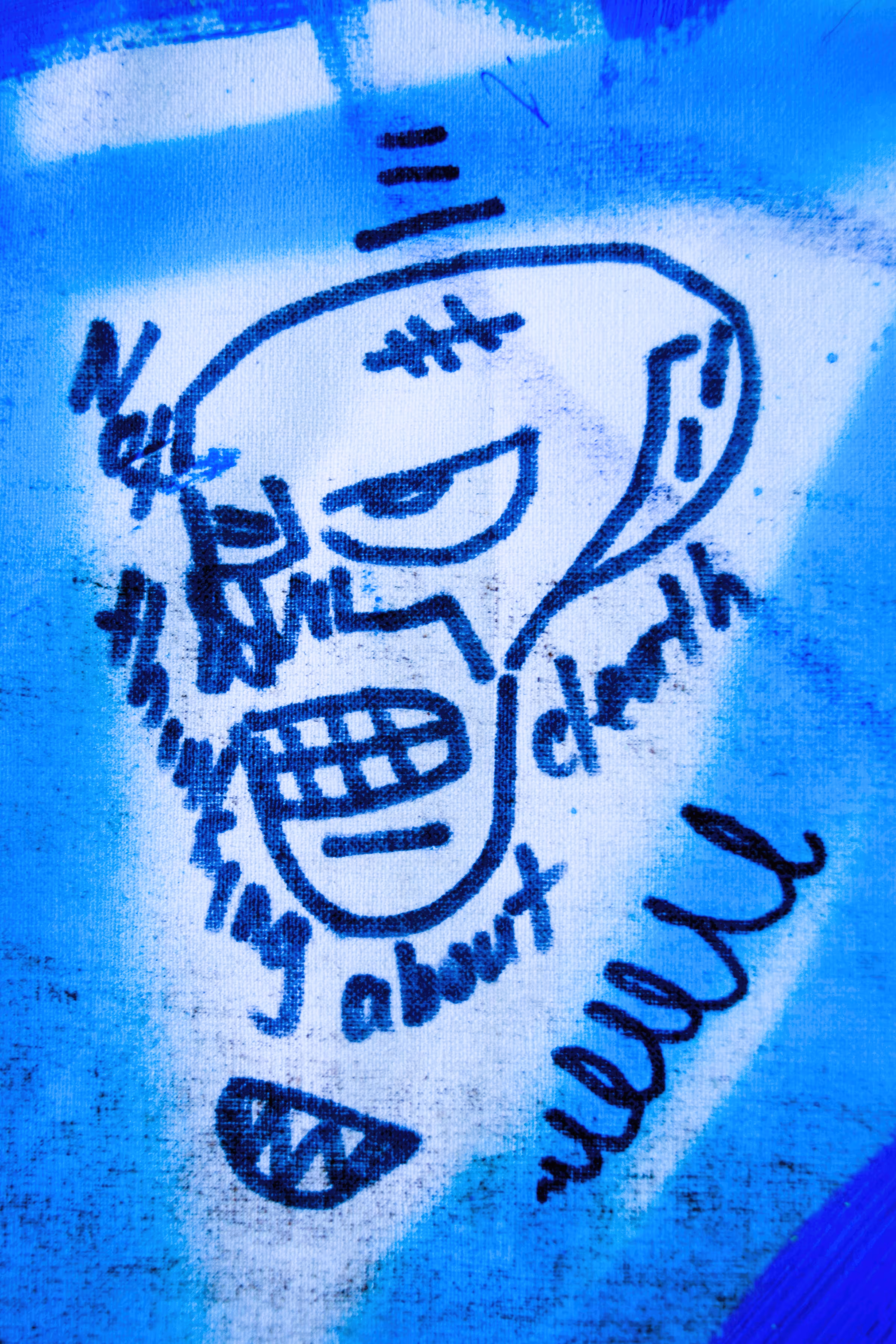 the skull
