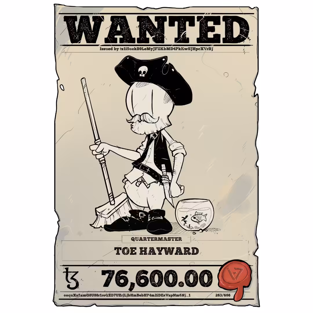 TOE HAYWARD | TEZOS PIRATE 263/666