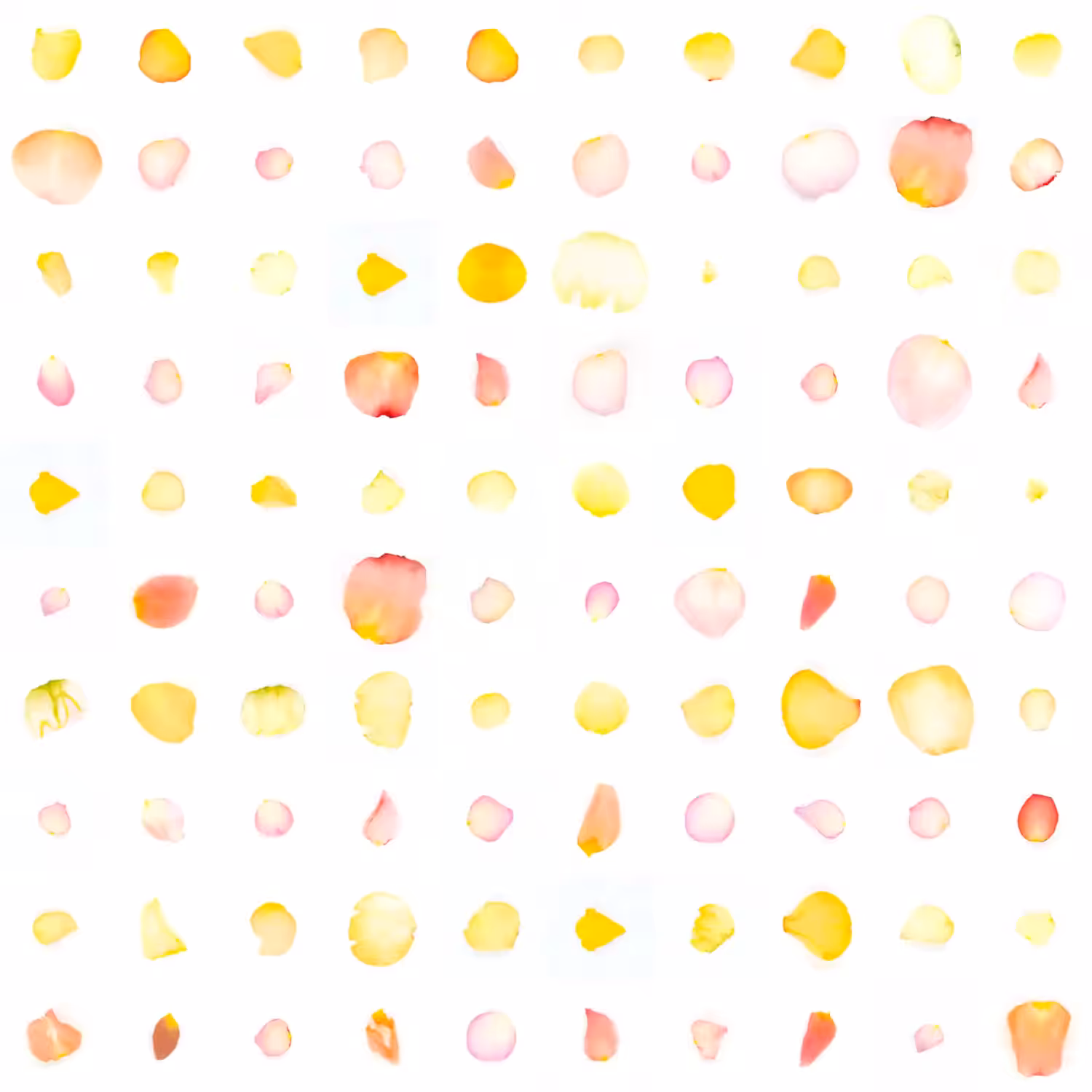 Infinite Petals 10x10#1572