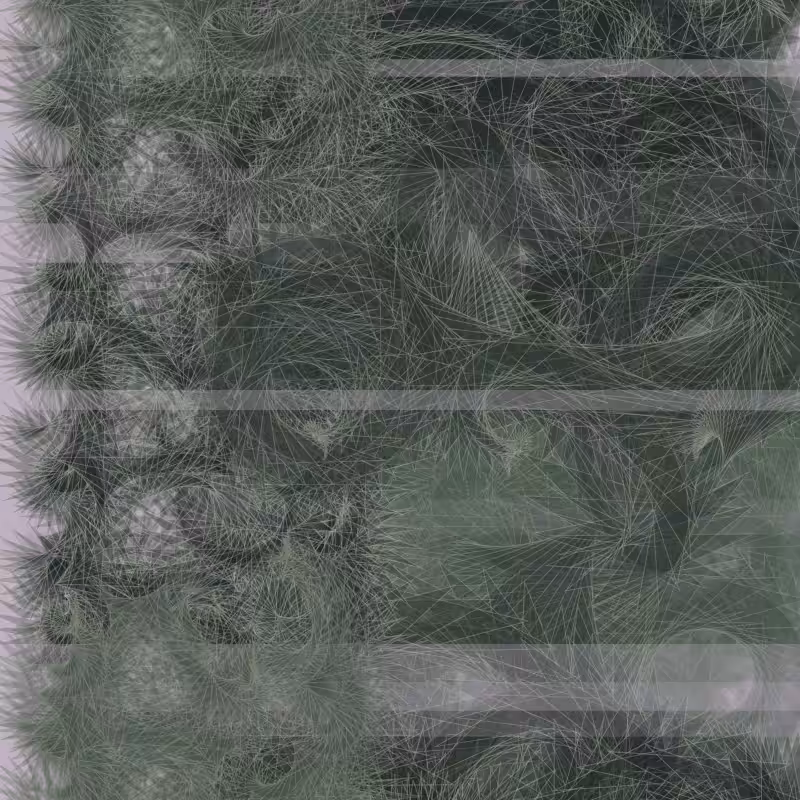 Braids/burdens #68