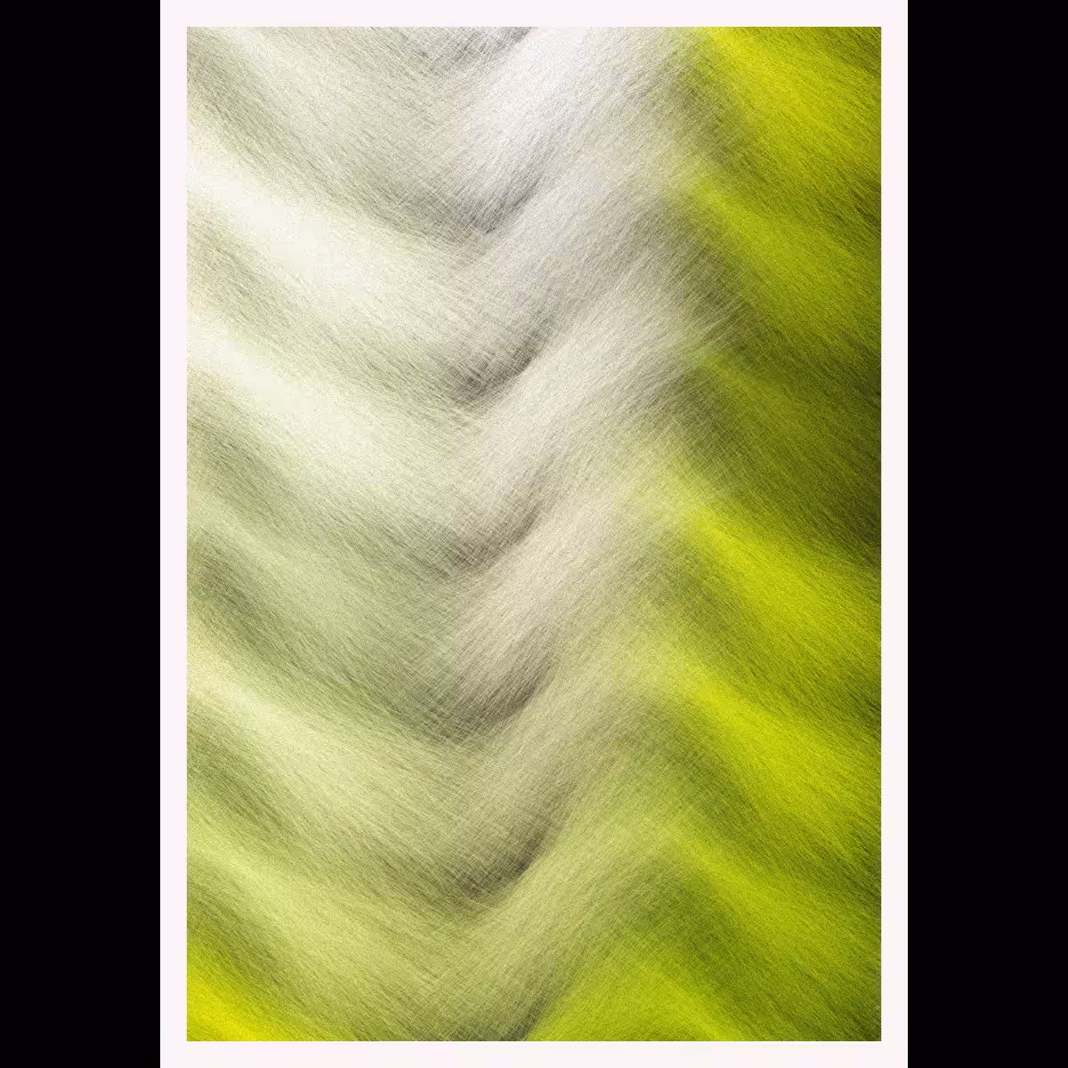 Furrr #248