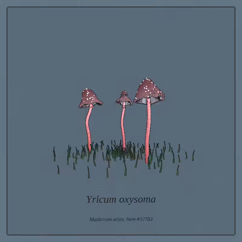 Mushroom Atlas #16
