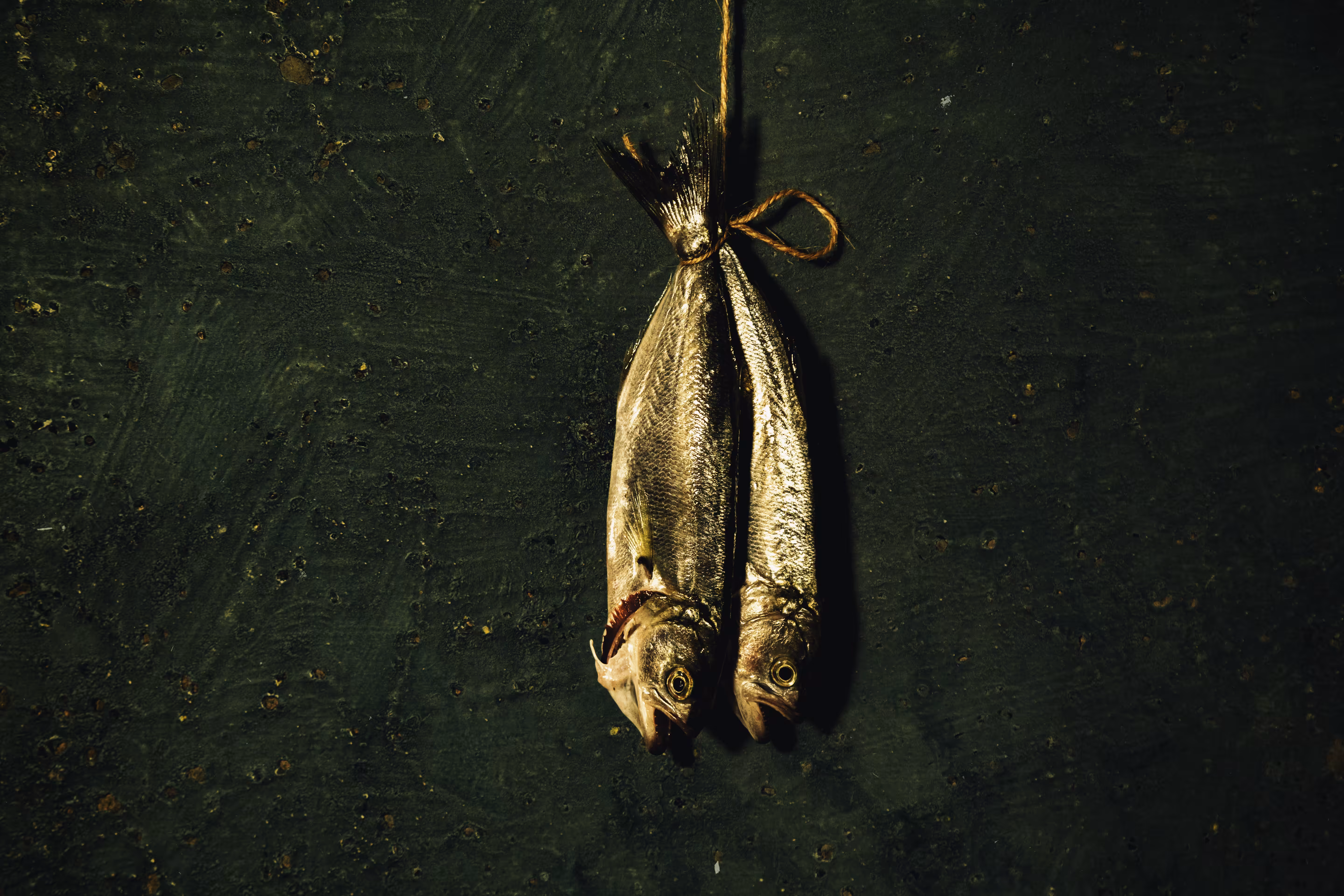 Still Life: Cultural Nature II #26