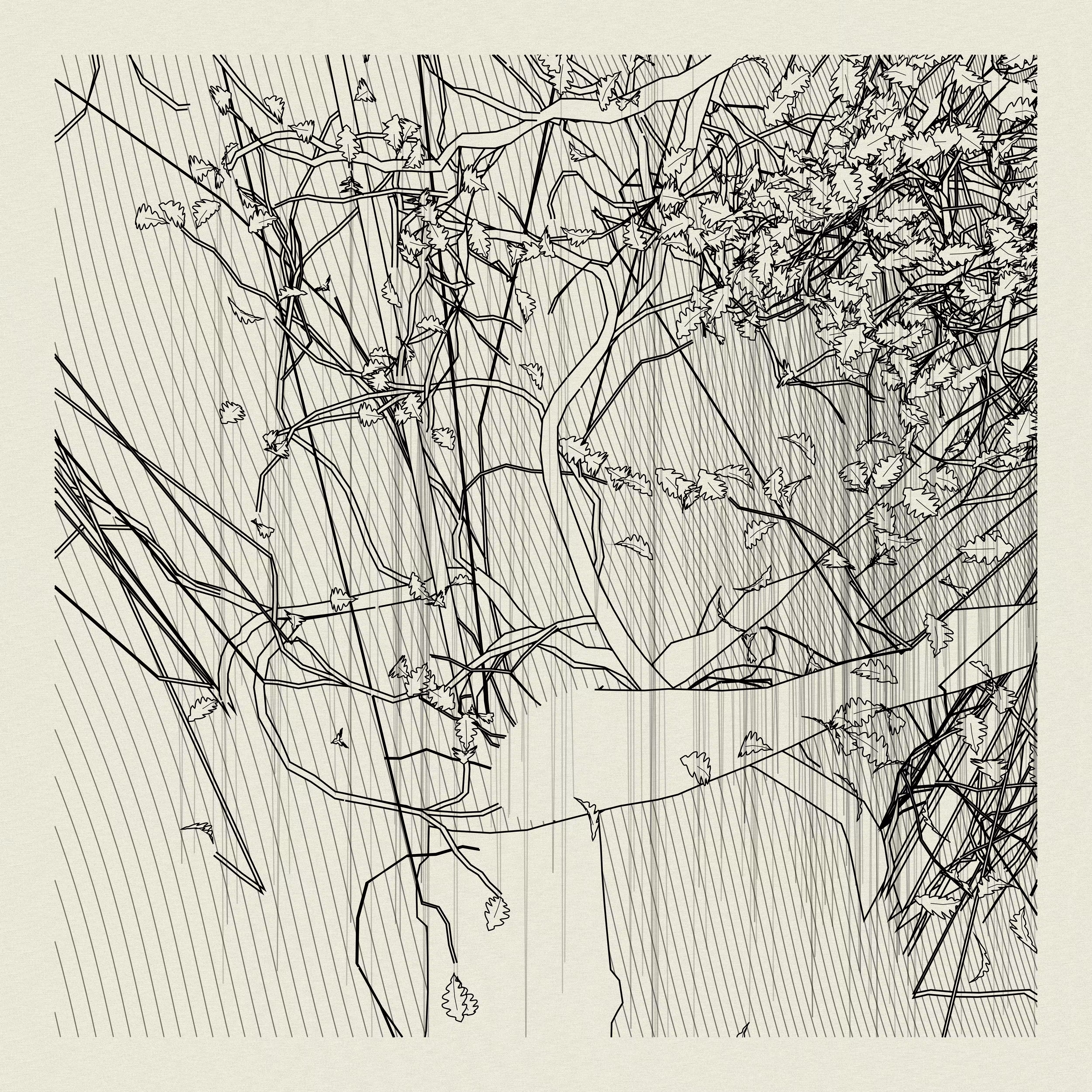 A Bugged Forest #263