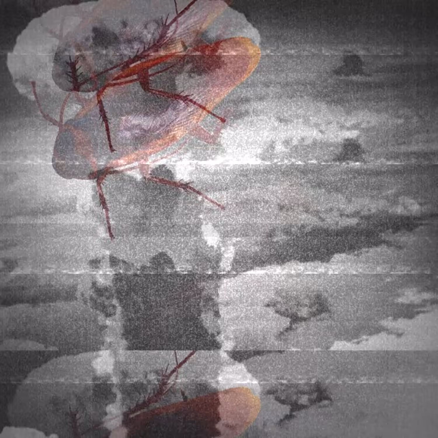 Barata Atomica