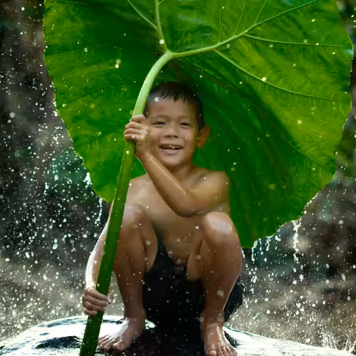 A child plays under a green umbrella leaf in the rain #1