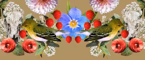 The Strawberry Thieves Banner 15