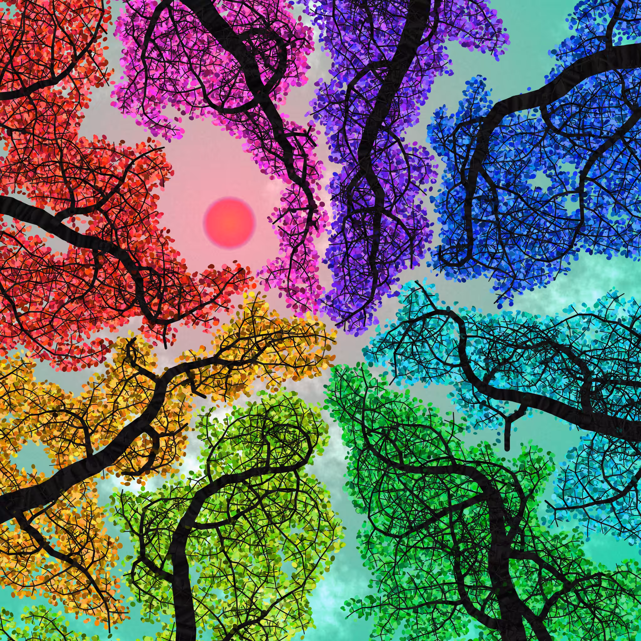 Tree Skyness #72