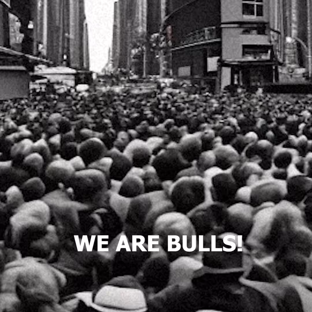 WE ARE BULLS!
