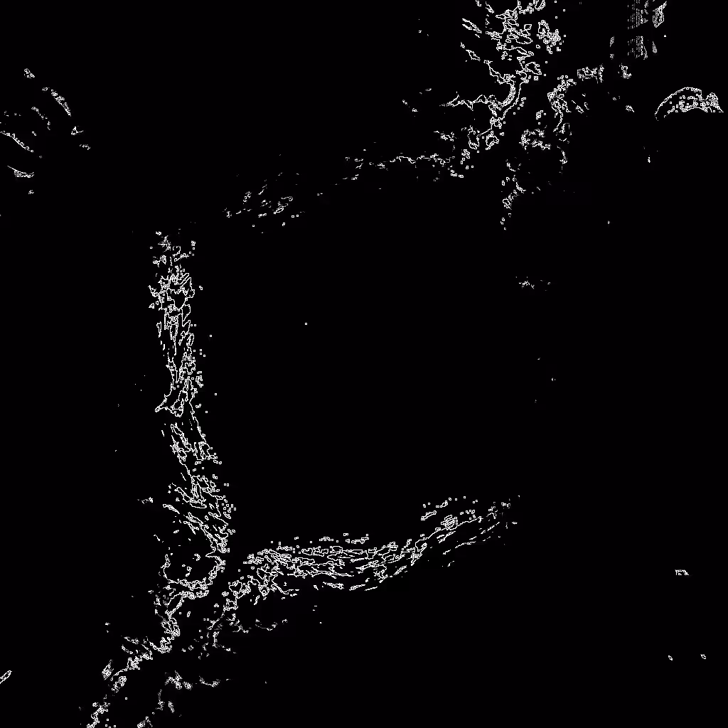 Noise #508 