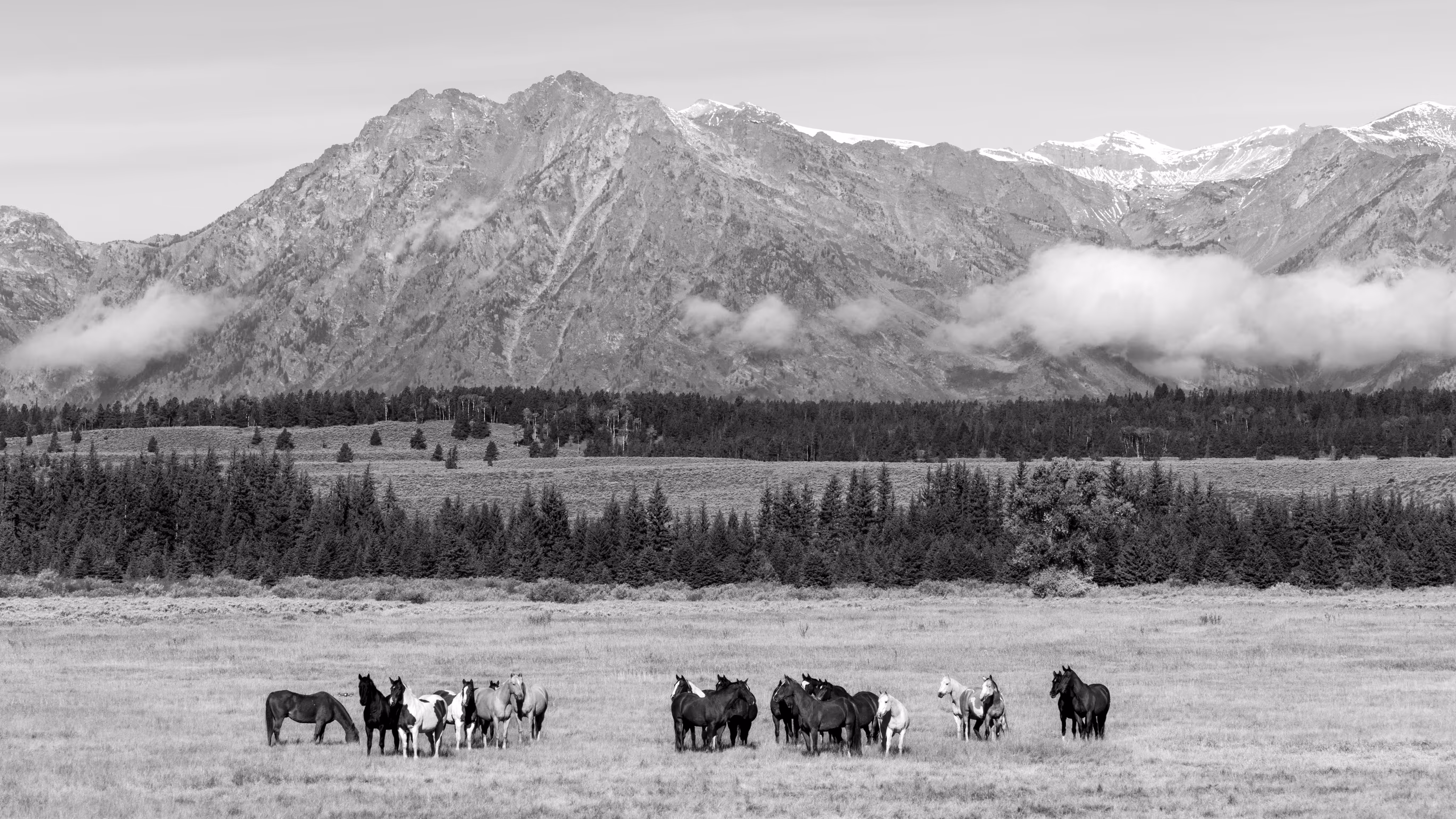 Gathered at the Mountain 