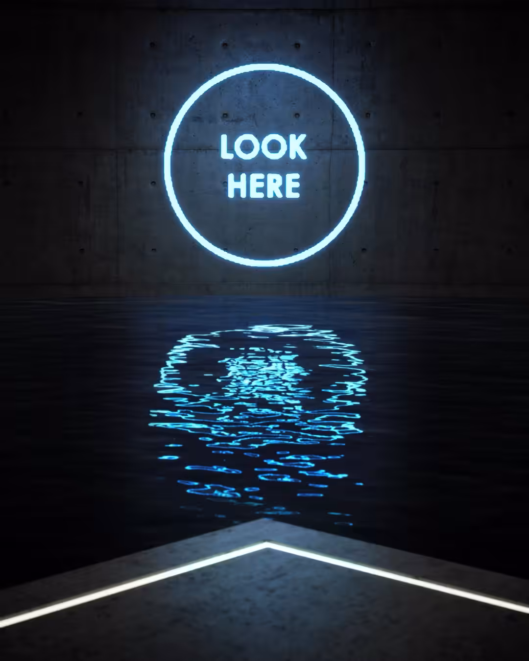 Look Here