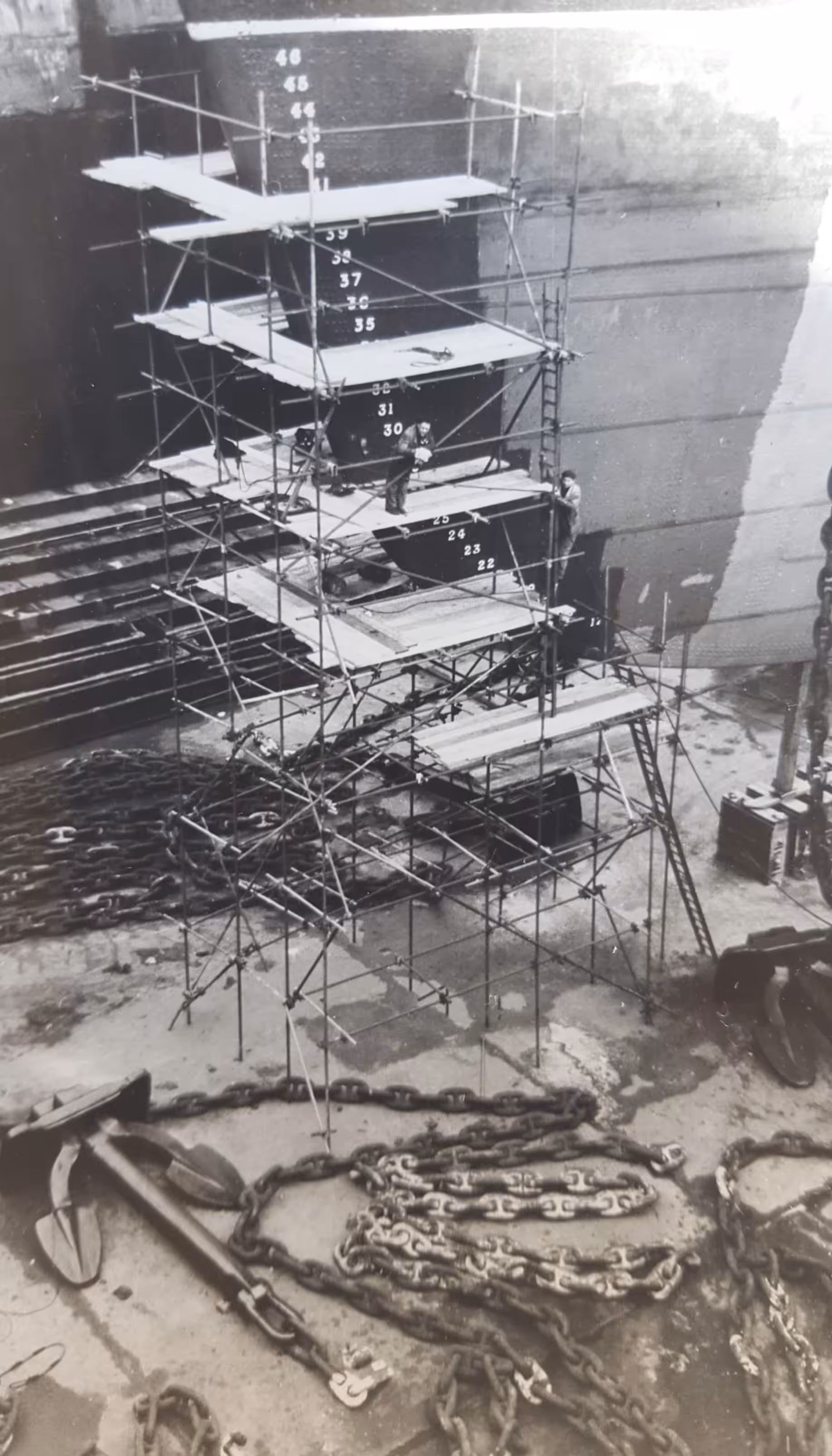 Scaffold 