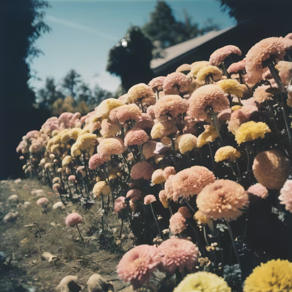 Skeleton fields forever #3