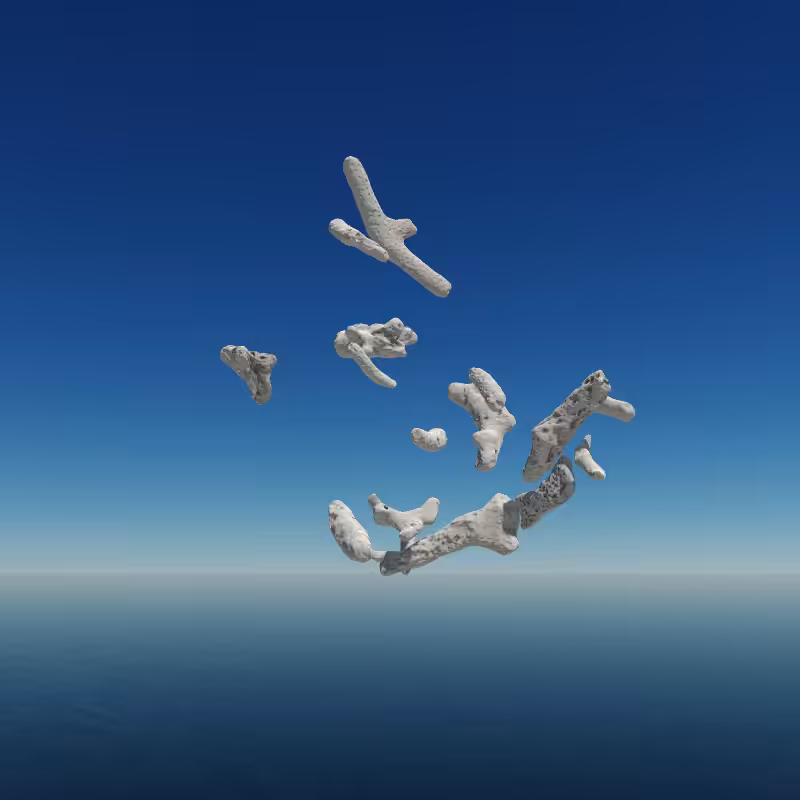 Bone Work (Gulf of Mexico) 2022 #16