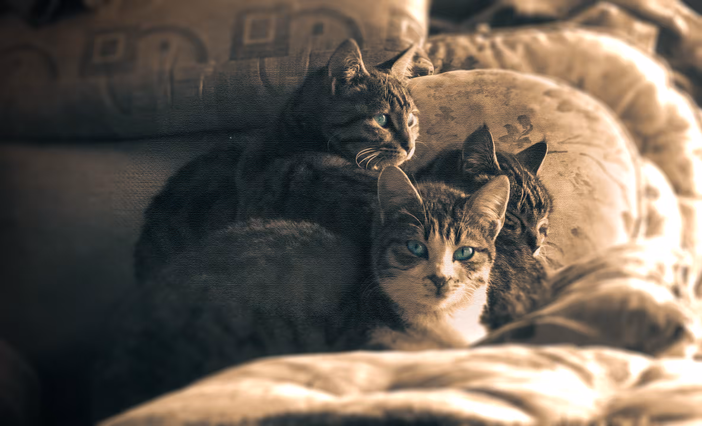 Just a family