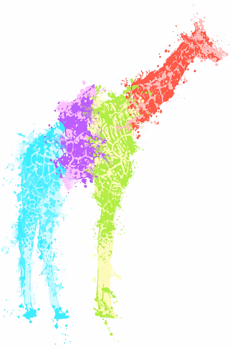 Giraffe Graffiti - Sahara Collection 