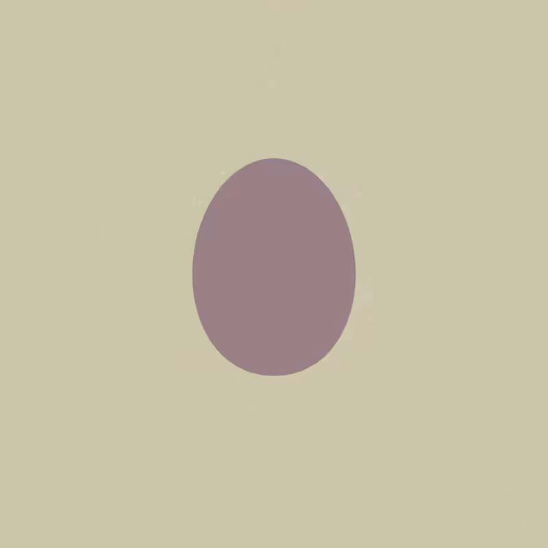 Egg #23