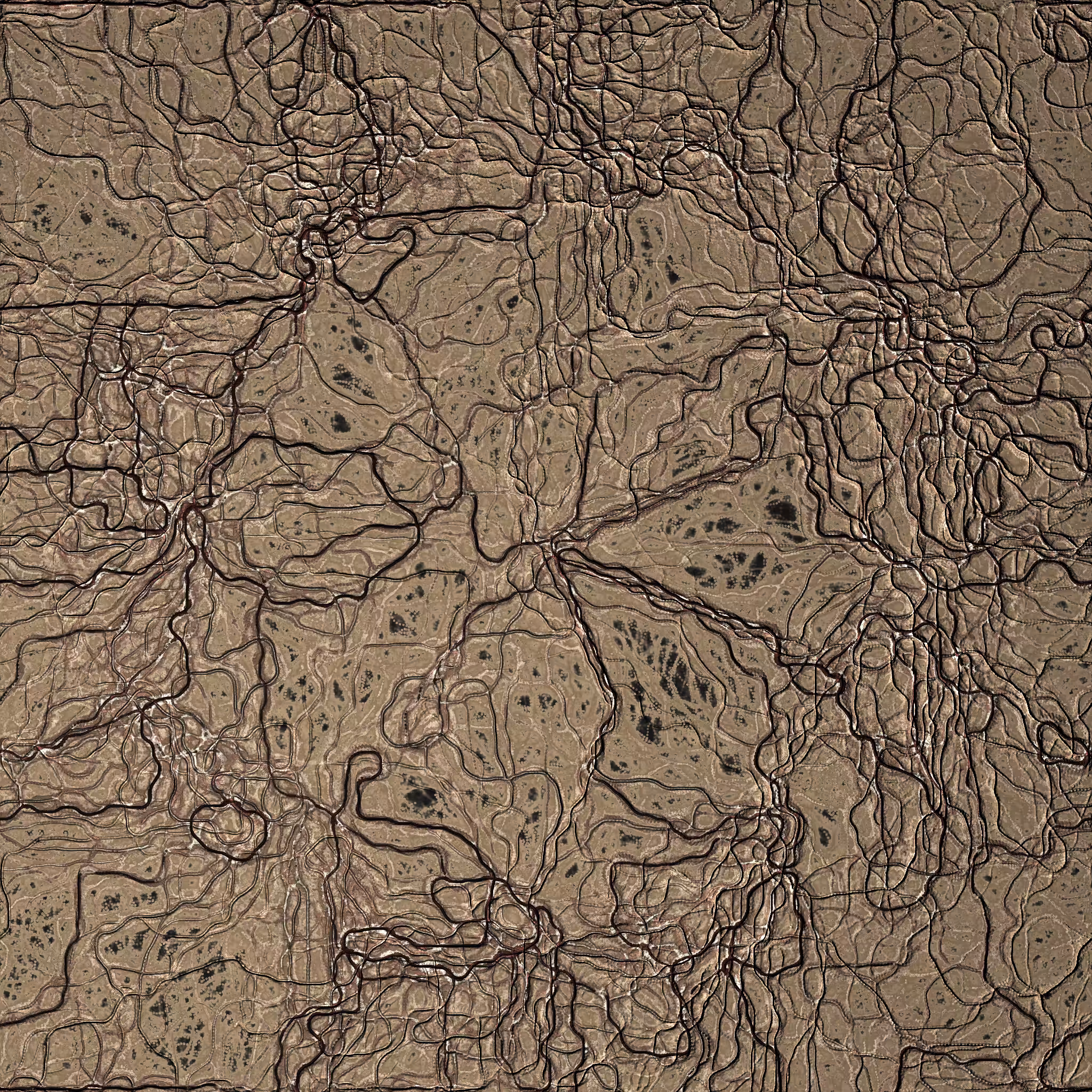 coalescence #83