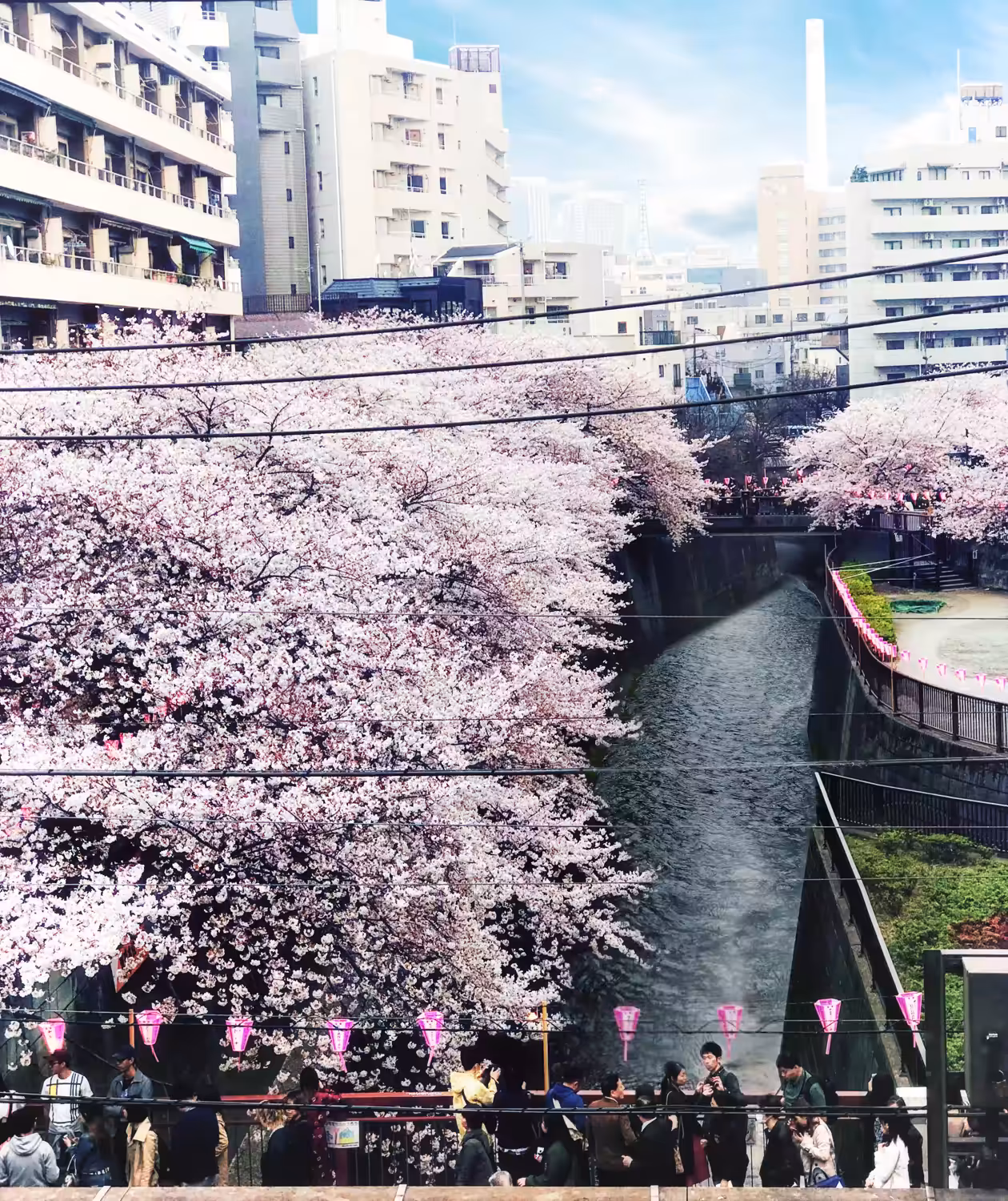 Seasons in Japan (日本の季節)