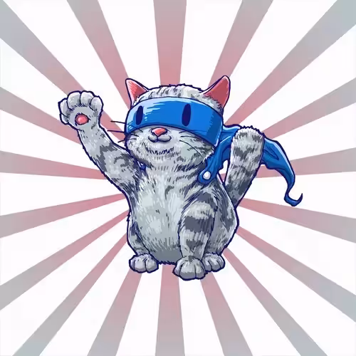 American shorthair Man