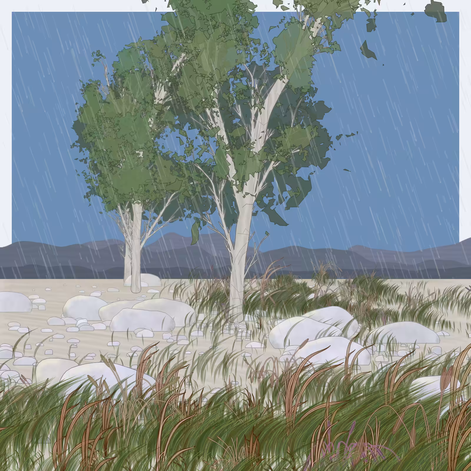 Rain Ritual #167