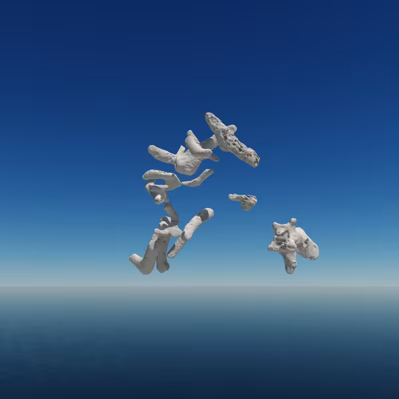 Bone Work (Gulf of Mexico) 2022 #2