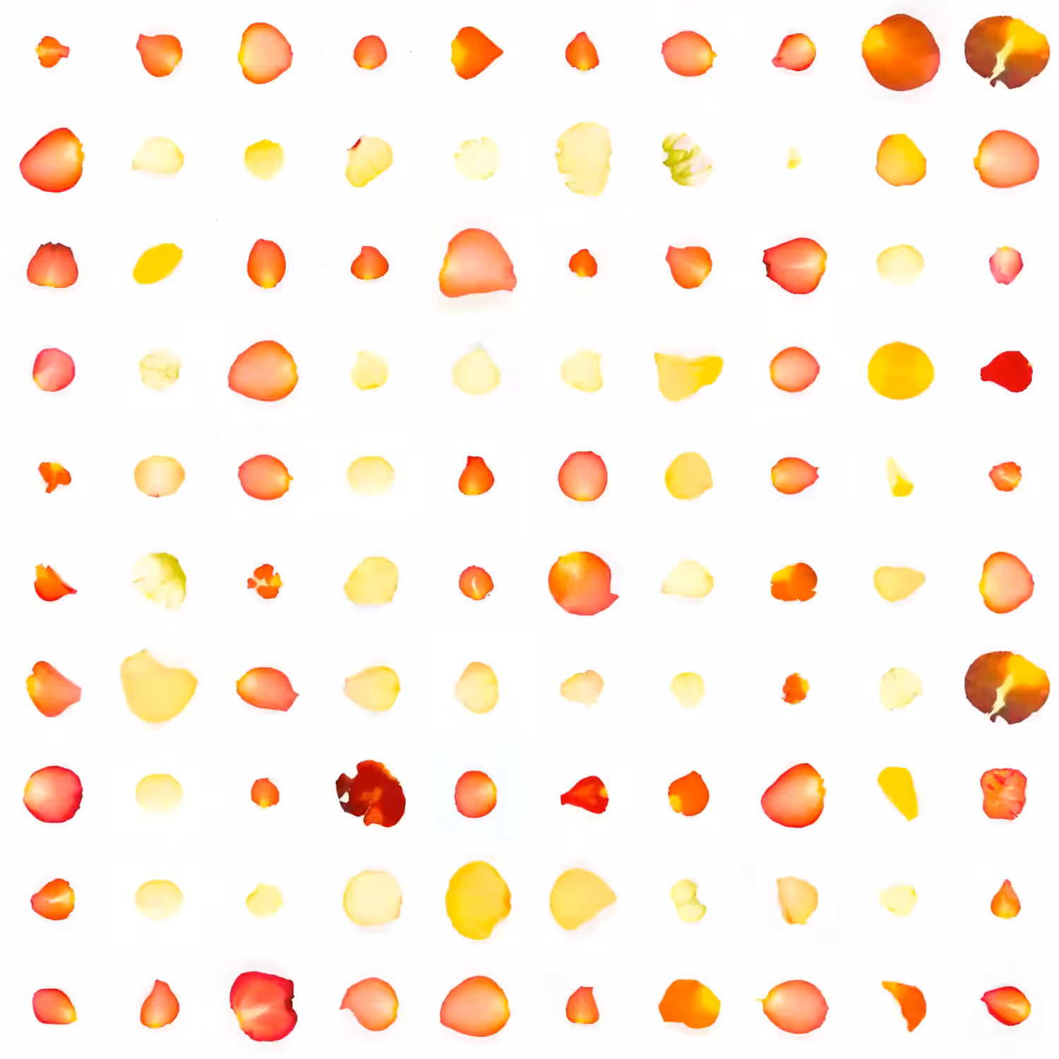 Infinite Petals 10x10#1118