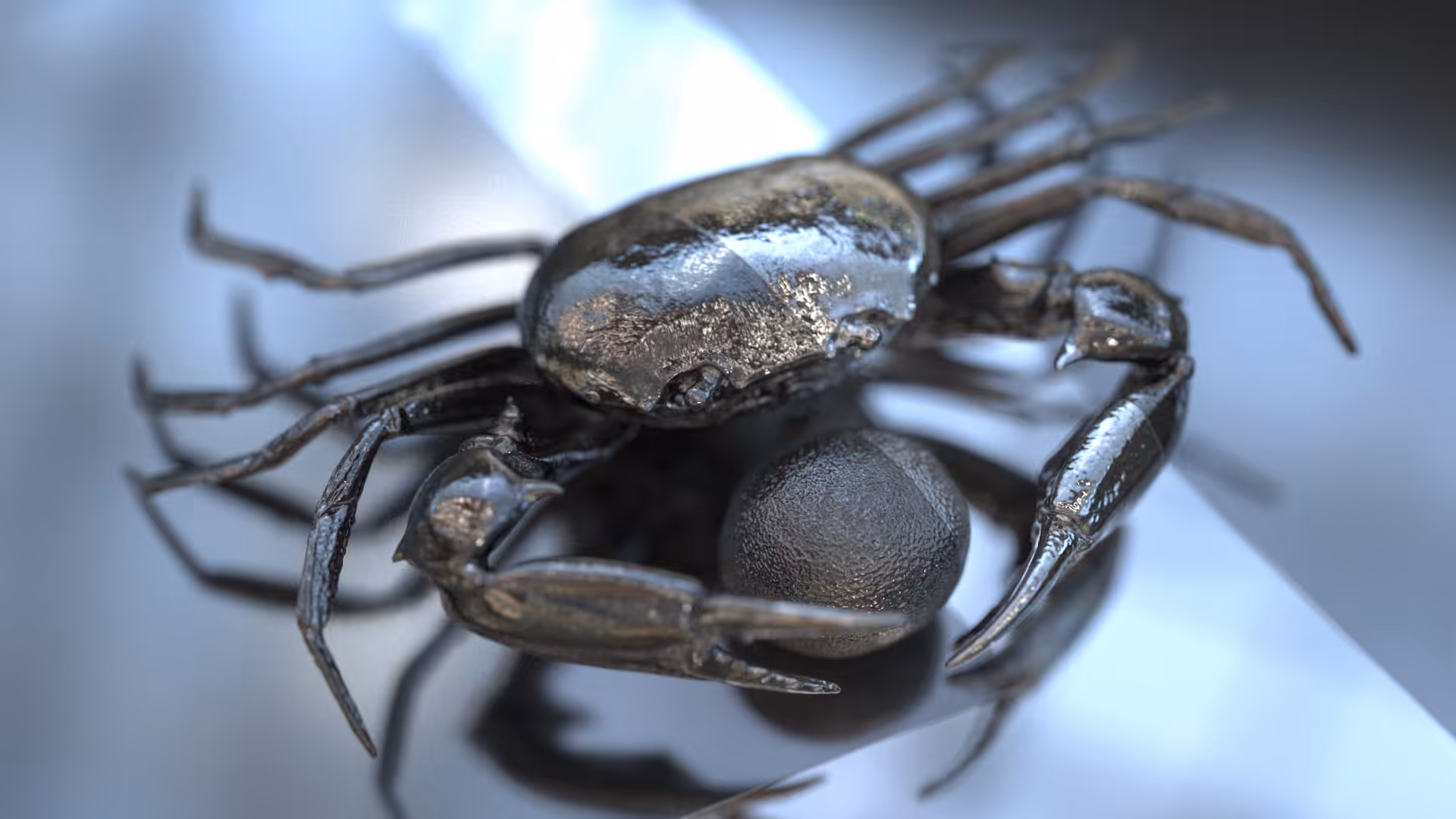 Crab