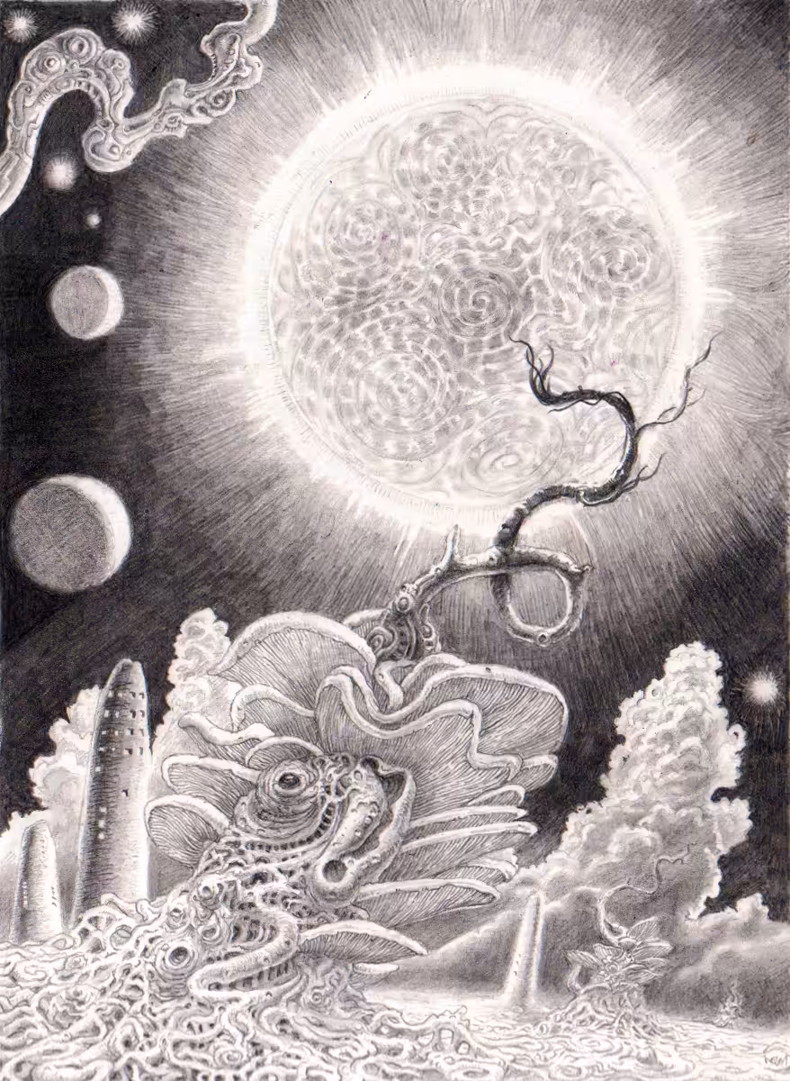 Under a Spinning Sun