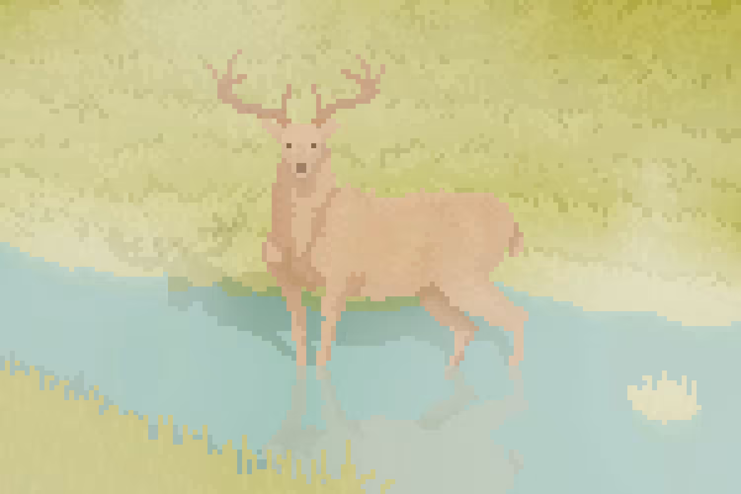 Buck in the Wetlands