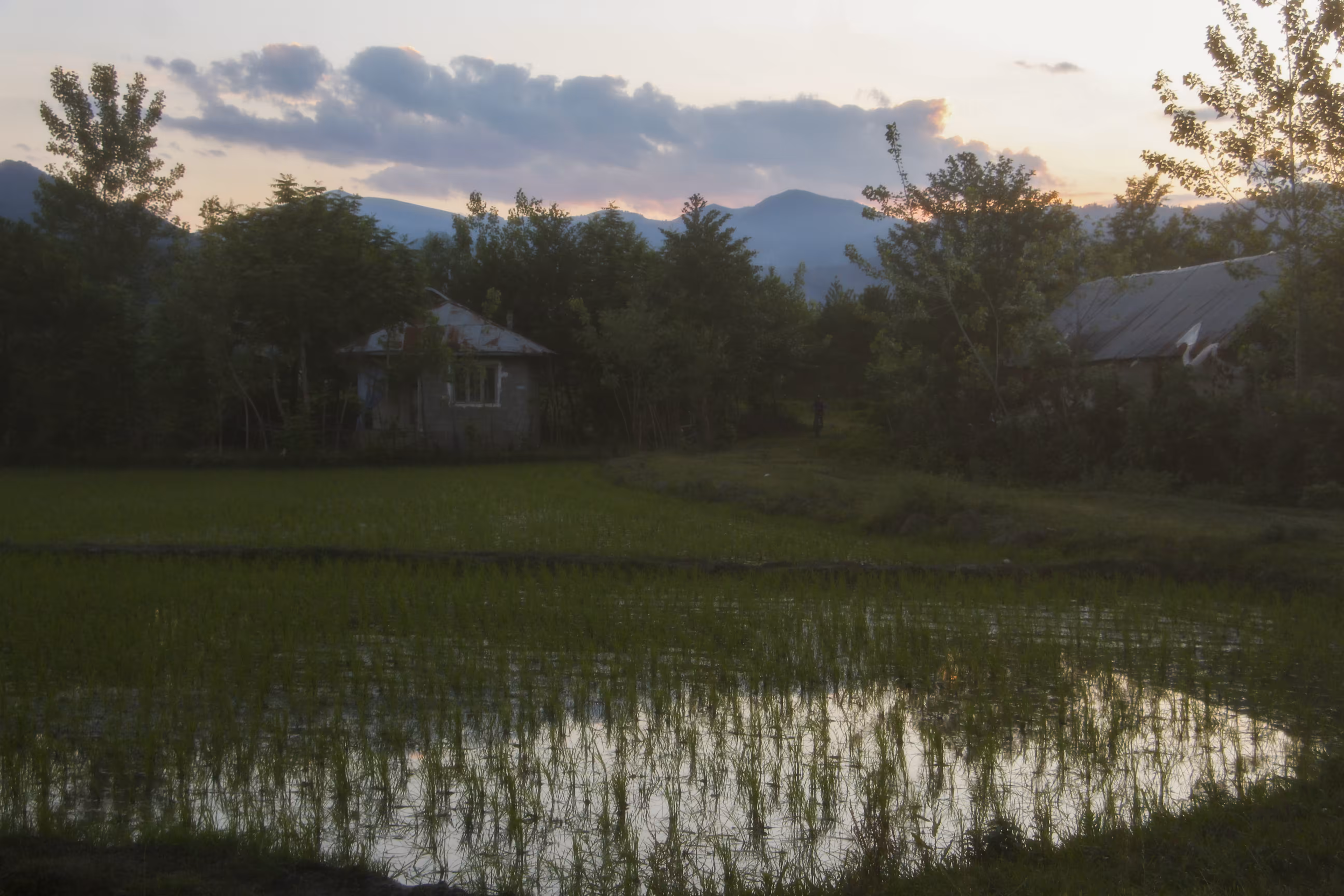 Dreamers’ Geography: Silence