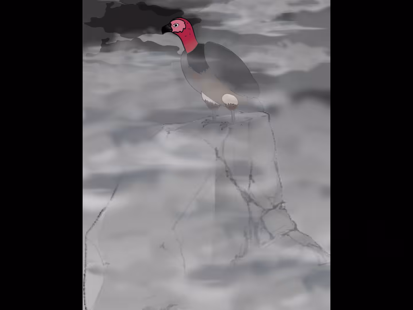 Vultures in the dark
