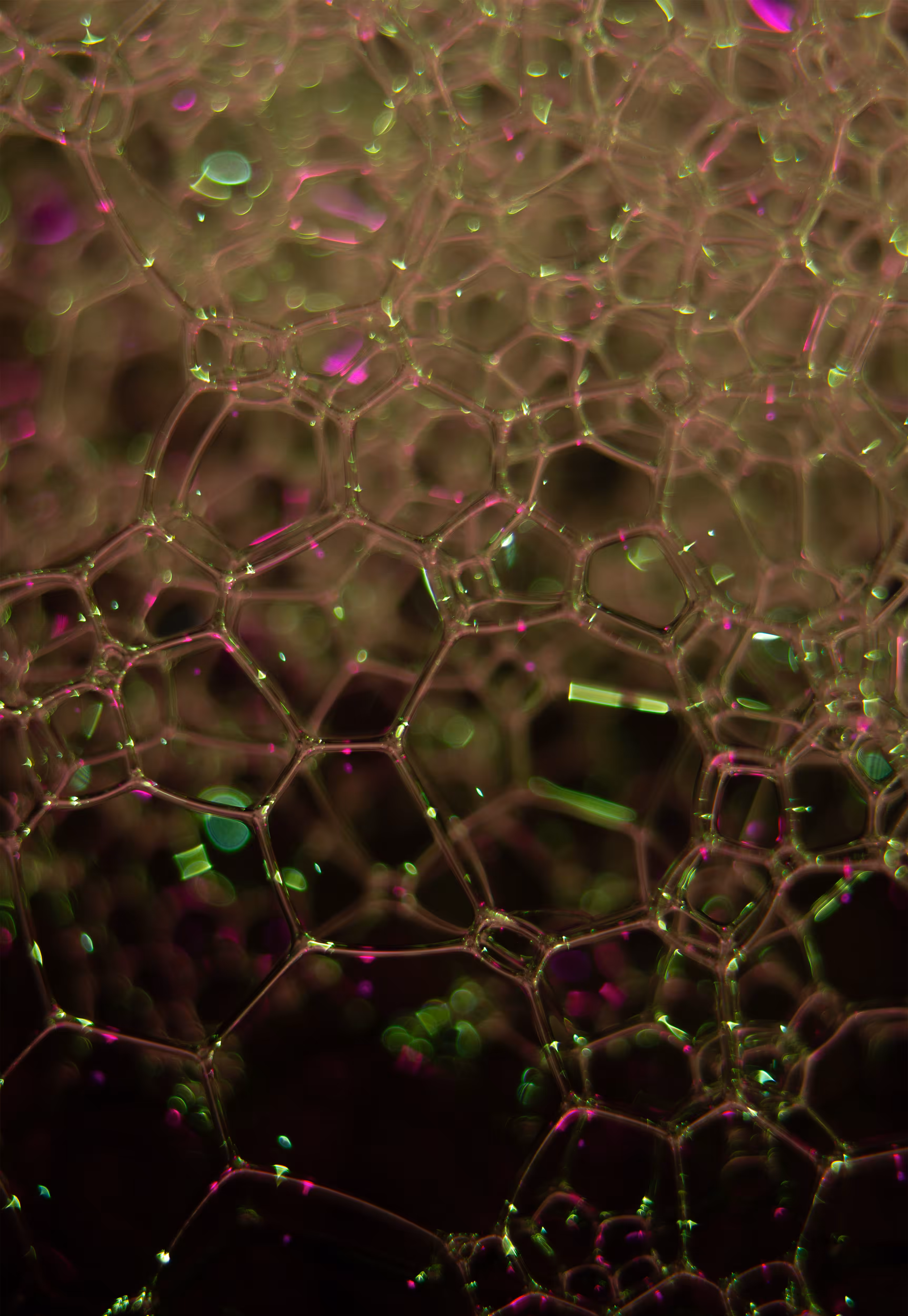 Abstract World of Soap Bubbles: #226 Bubbles