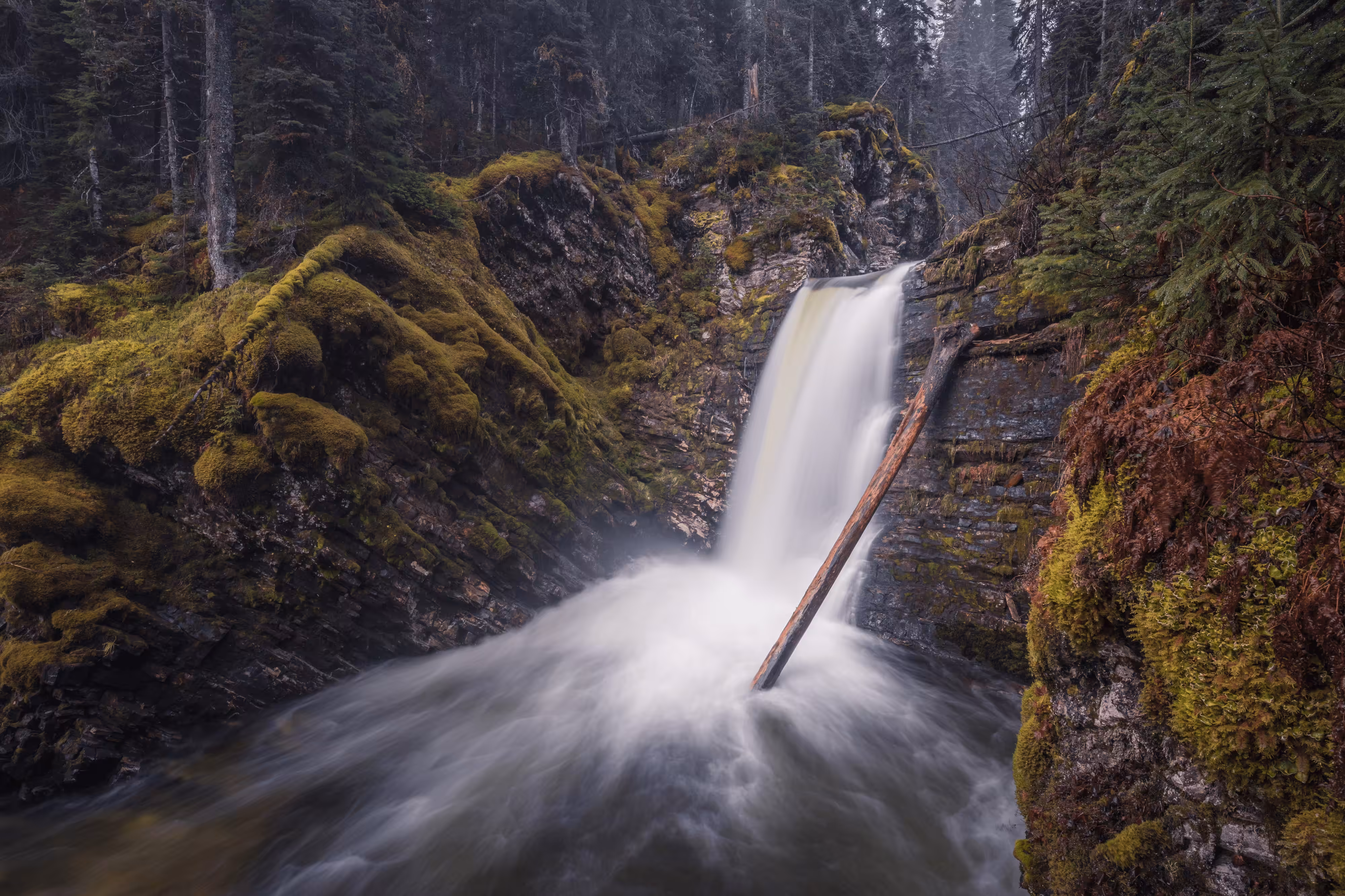 #55 - Kittil Falls