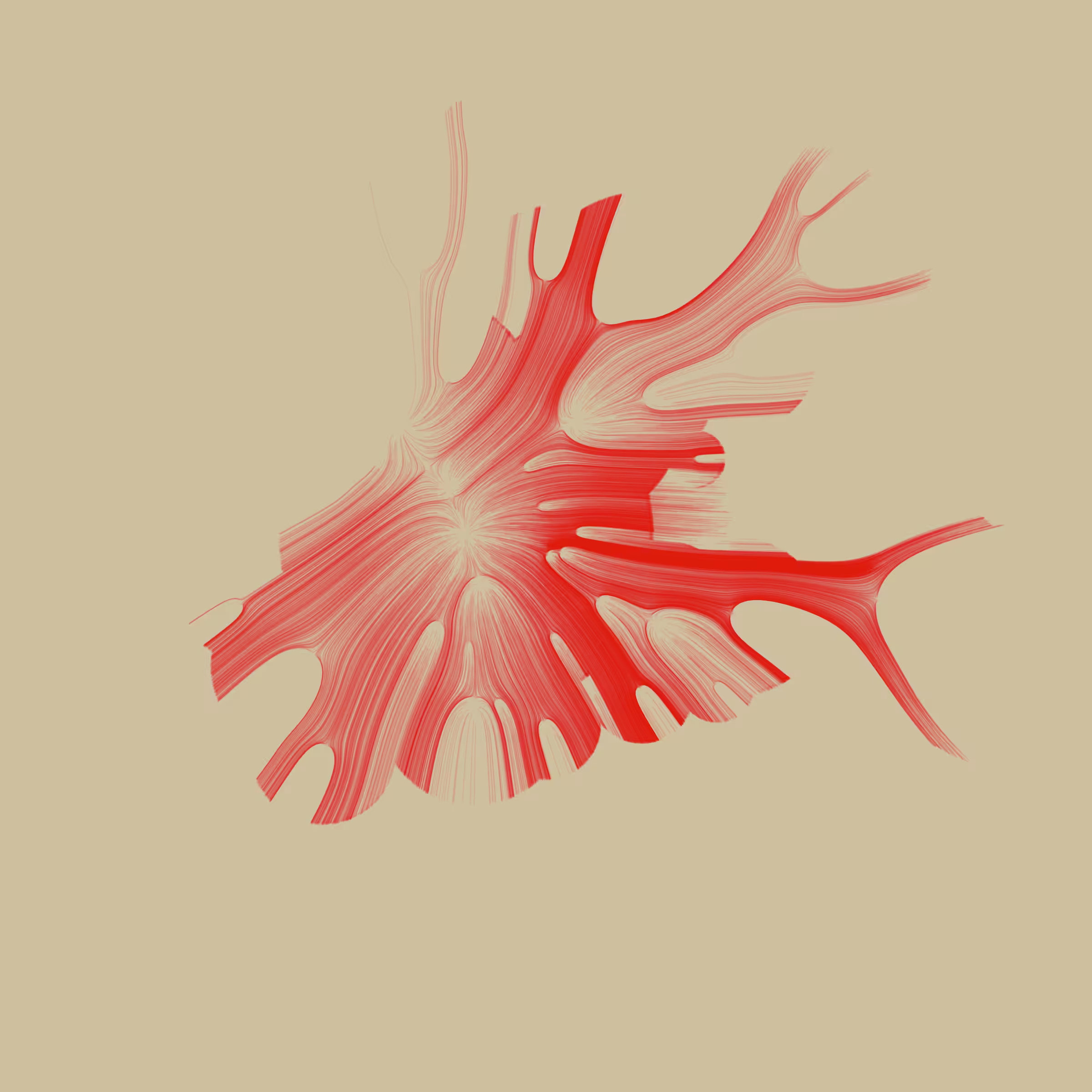 Gravity 16 #304