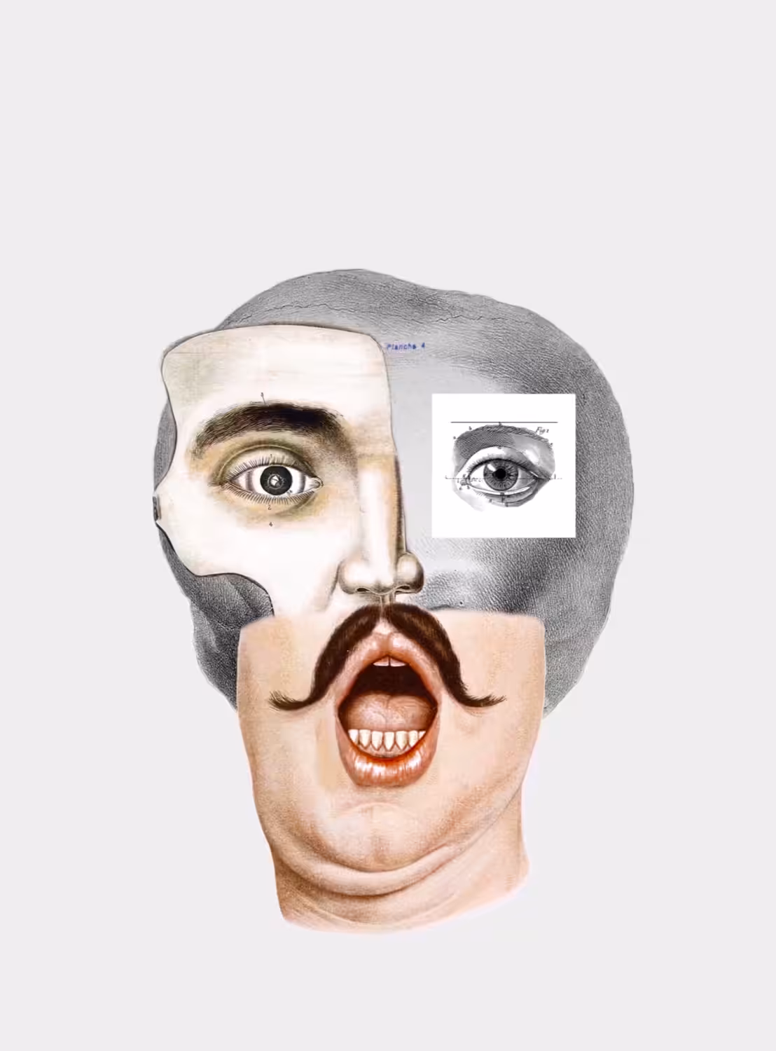 testone baffuto (mustached head)