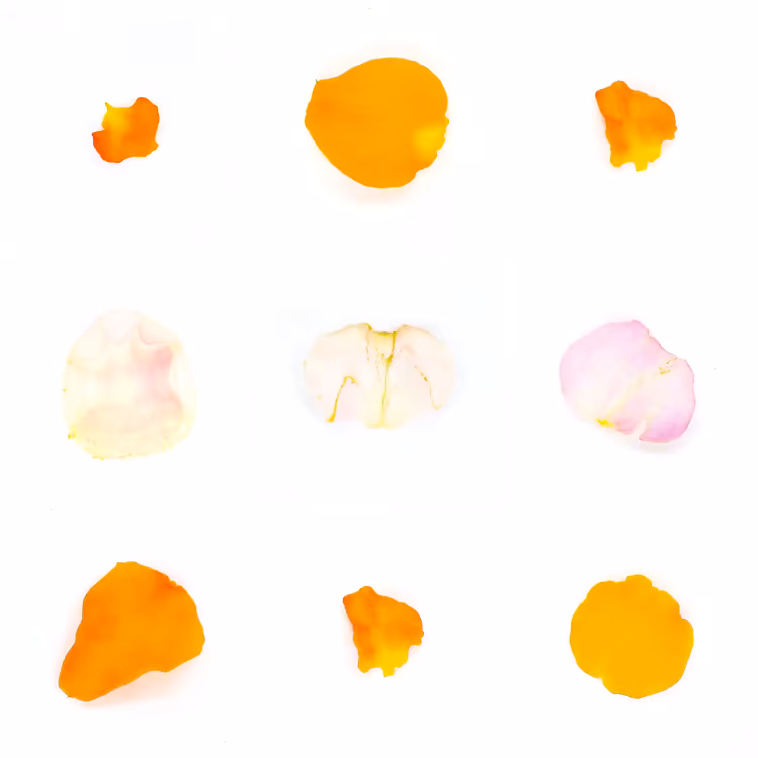 Infinite Petals 3x3#3069