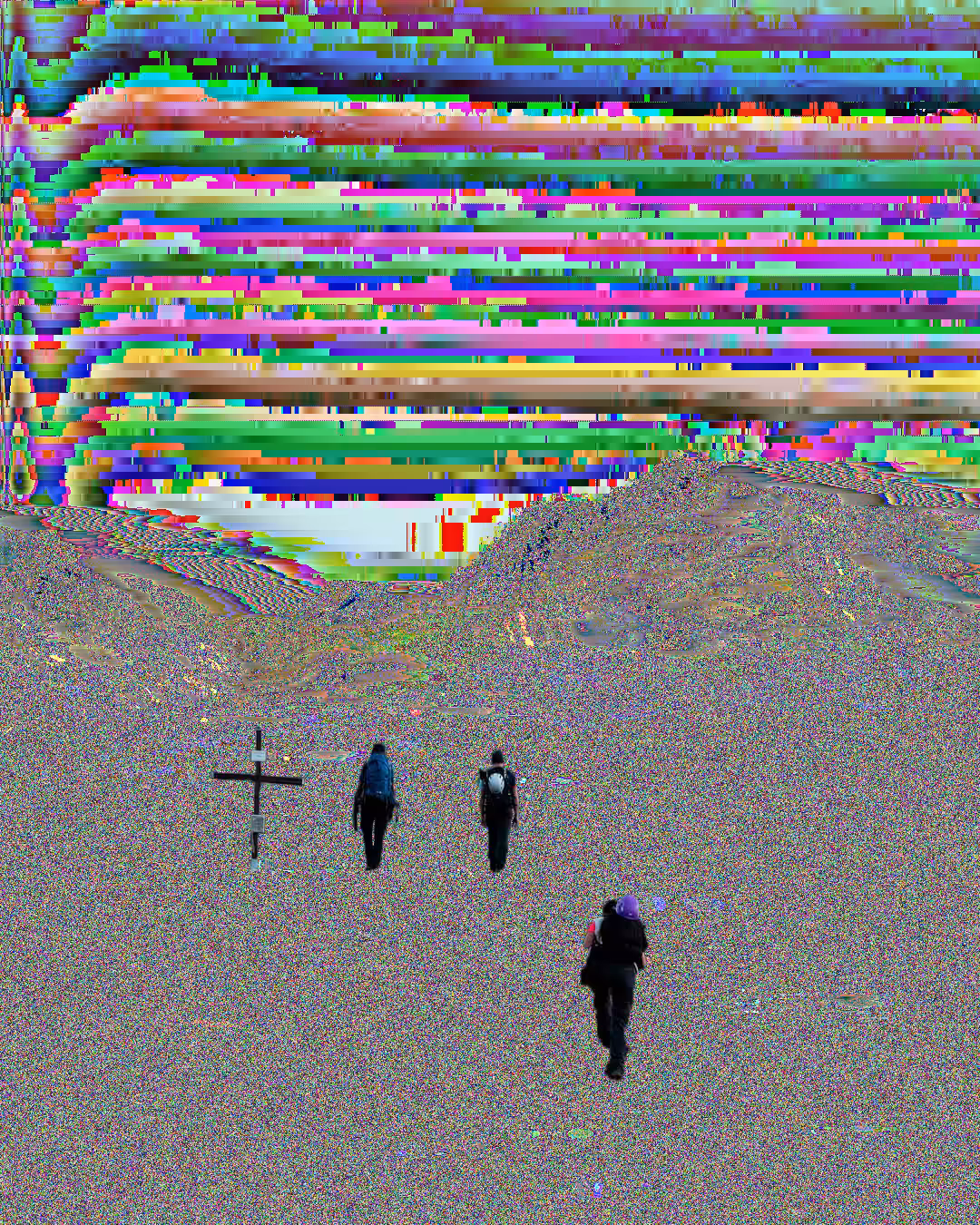10B63238_gi53st