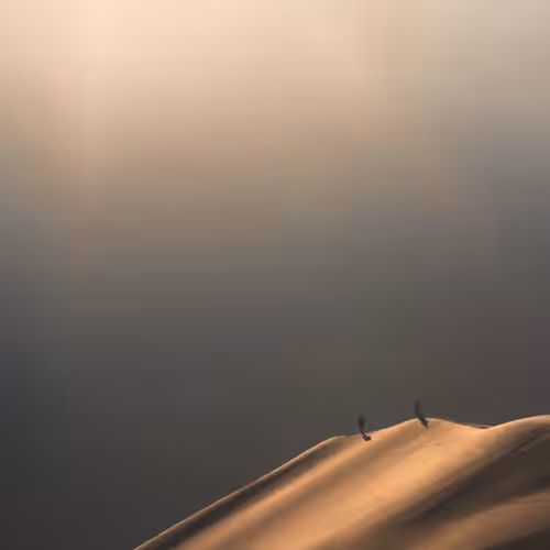 DUNE - 15, scale