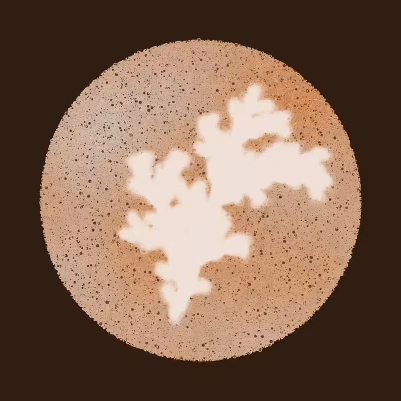 Barista (refill) #3