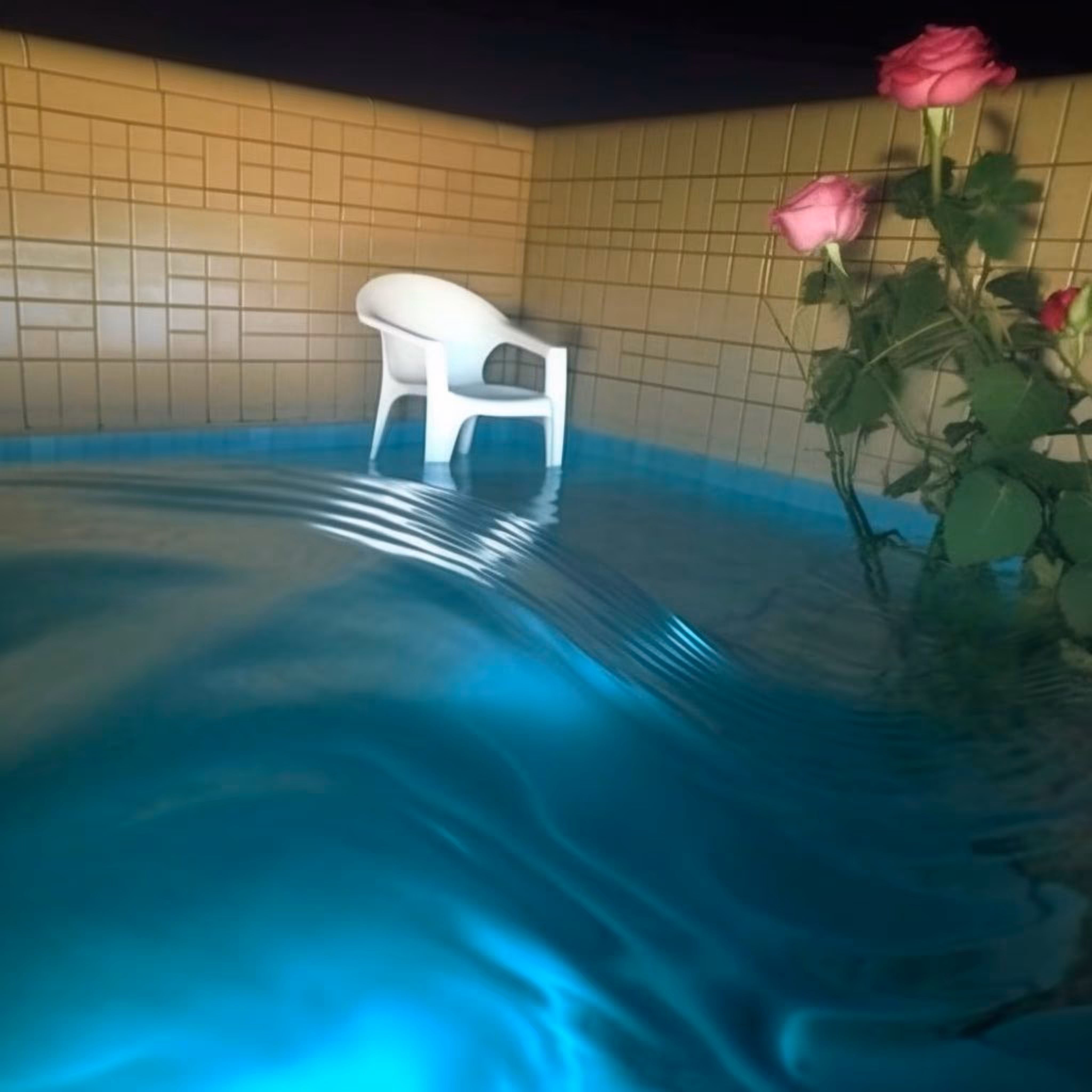 Can Roses Grow With No Light?