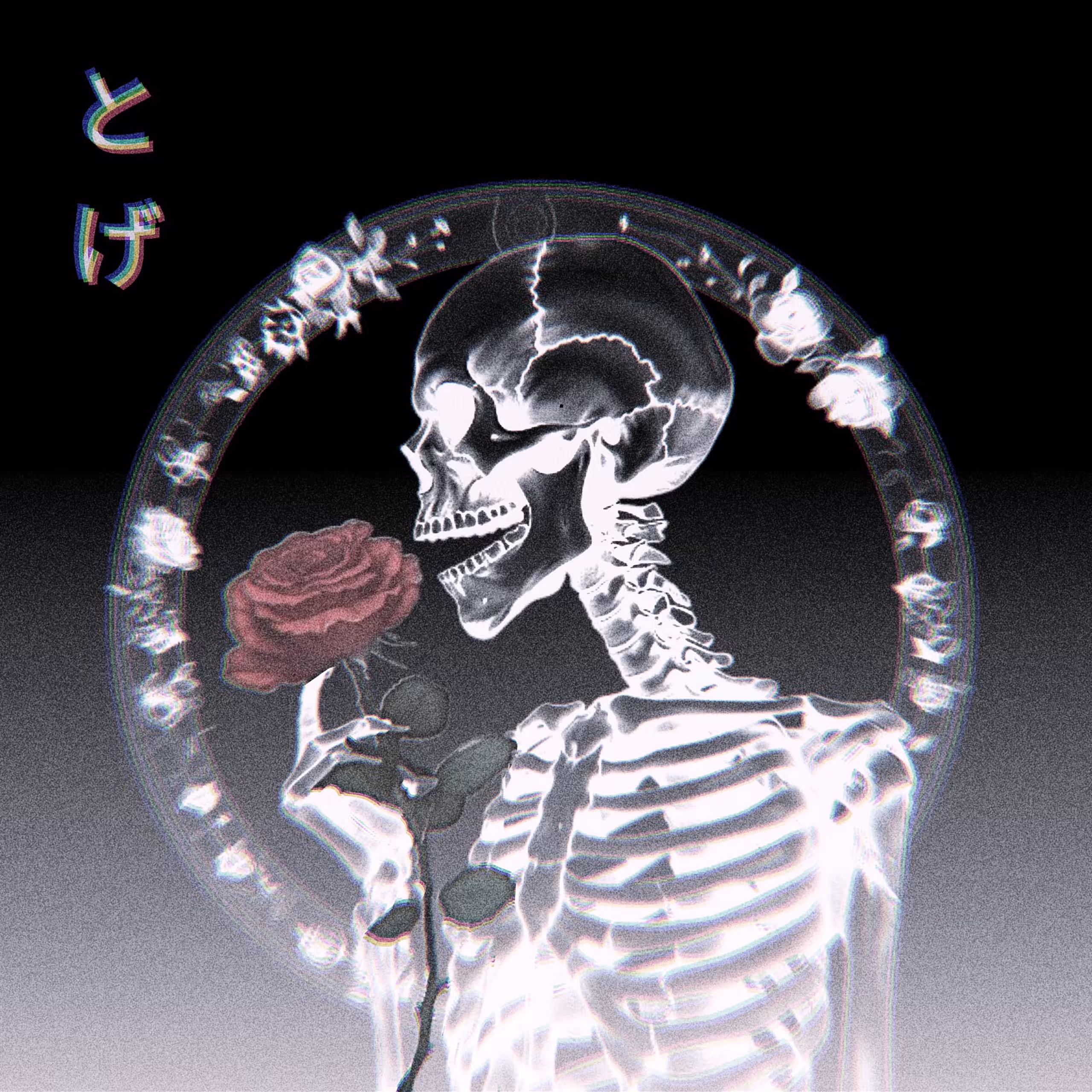 A Thorn In The Flesh 🌹