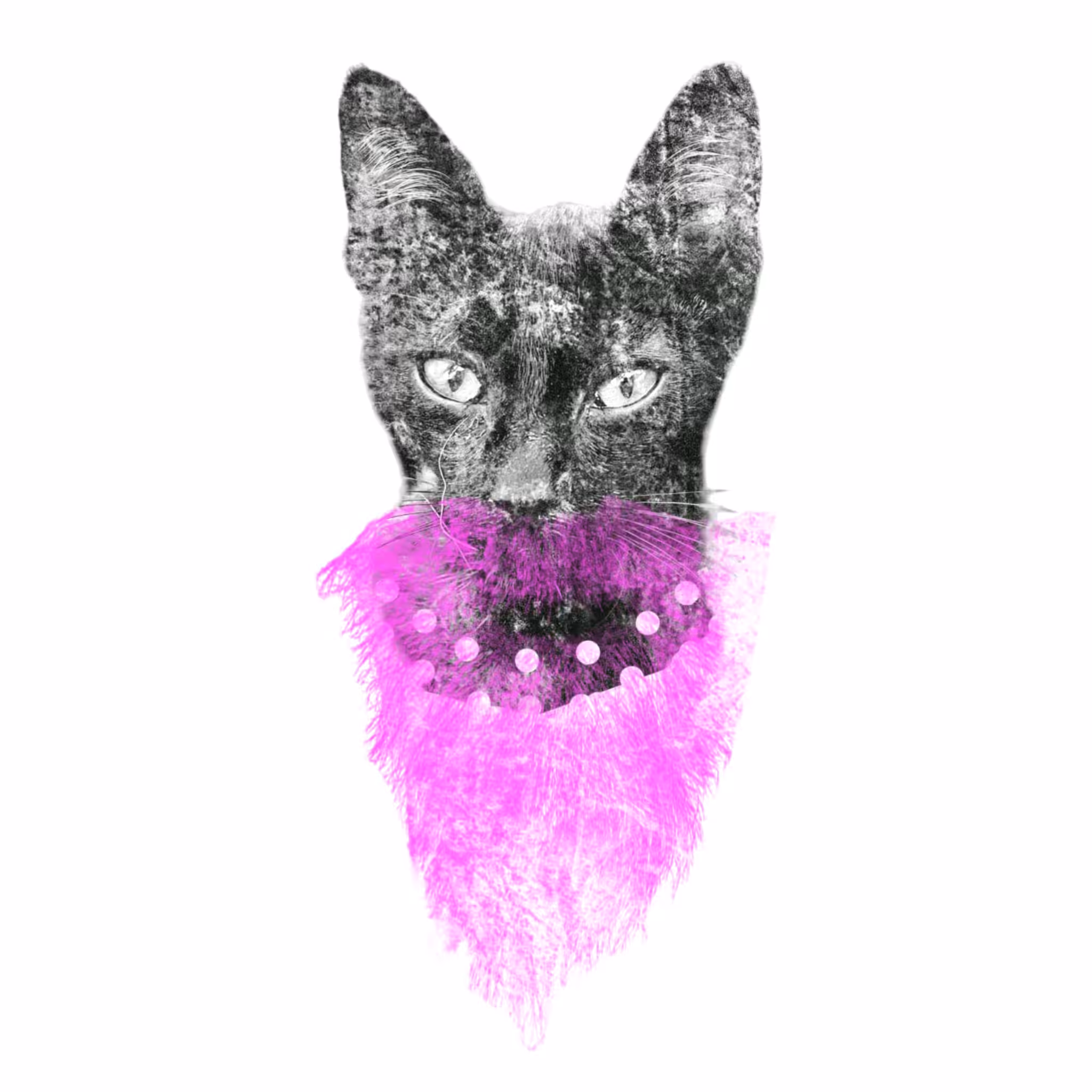 Bast in Drag