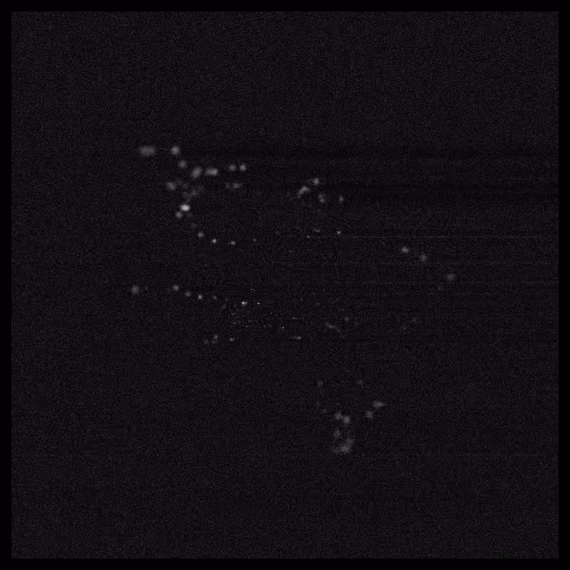 Rays & Dust #118