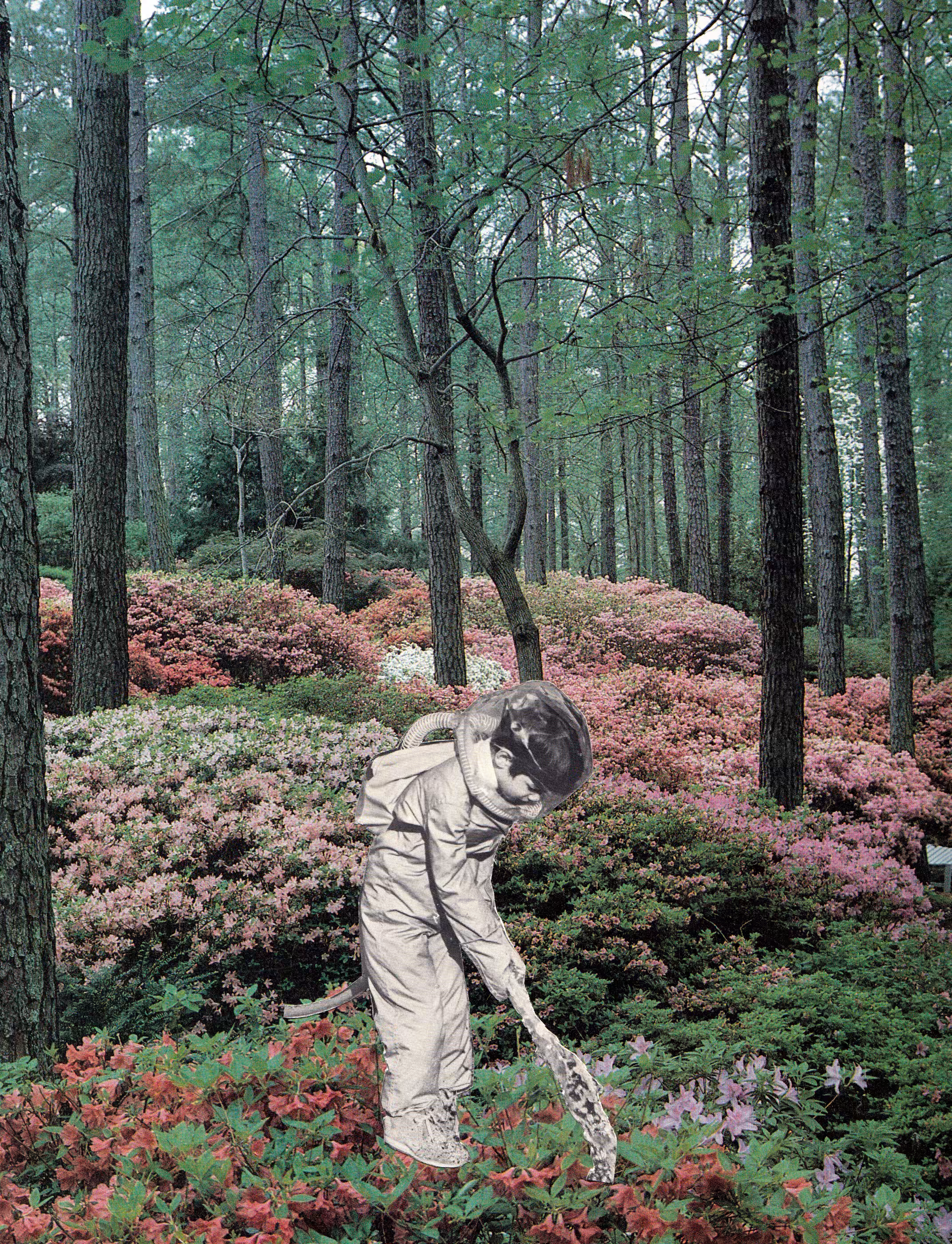 Gardener
