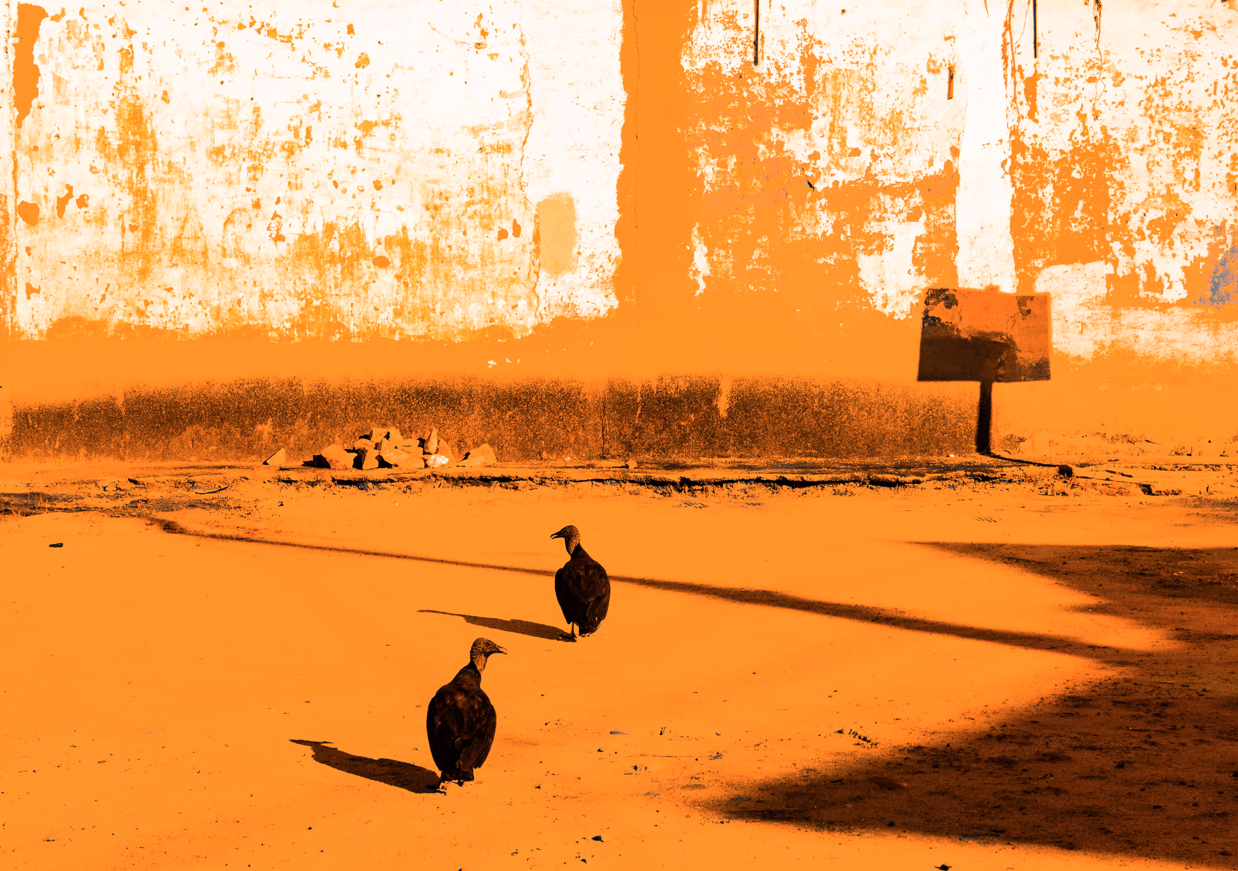 VulturAGE #2